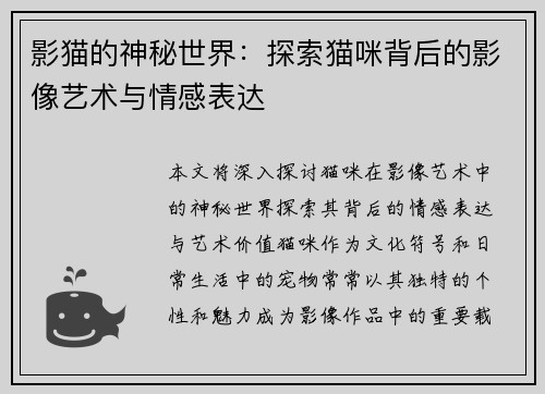 影猫的神秘世界：探索猫咪背后的影像艺术与情感表达